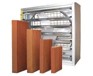 午夜精品久久水簾的除臭方法和維護方法