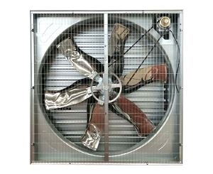 畜牧午夜精品久久的分類特點介紹